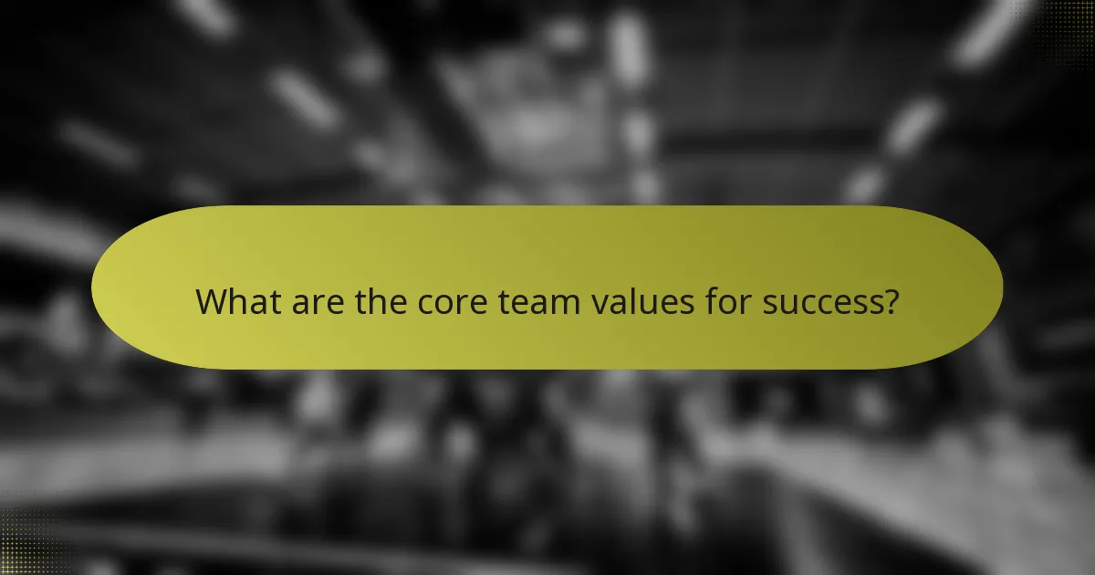 What are the core team values for success?